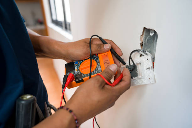 Best Electric Panel Repair  in Ferry Pass, FL