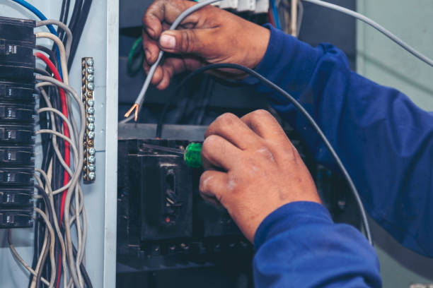 Best Generator Installation Services  in Ferry Pass, FL